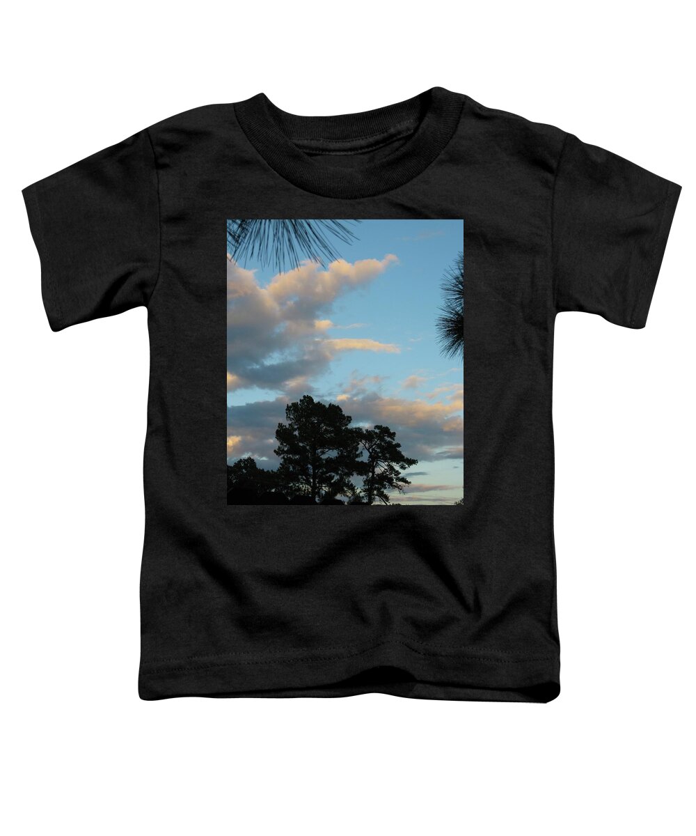 Sunset Toddler T-Shirt featuring the photograph Casual Flocks of Clouds by Judith Lauter