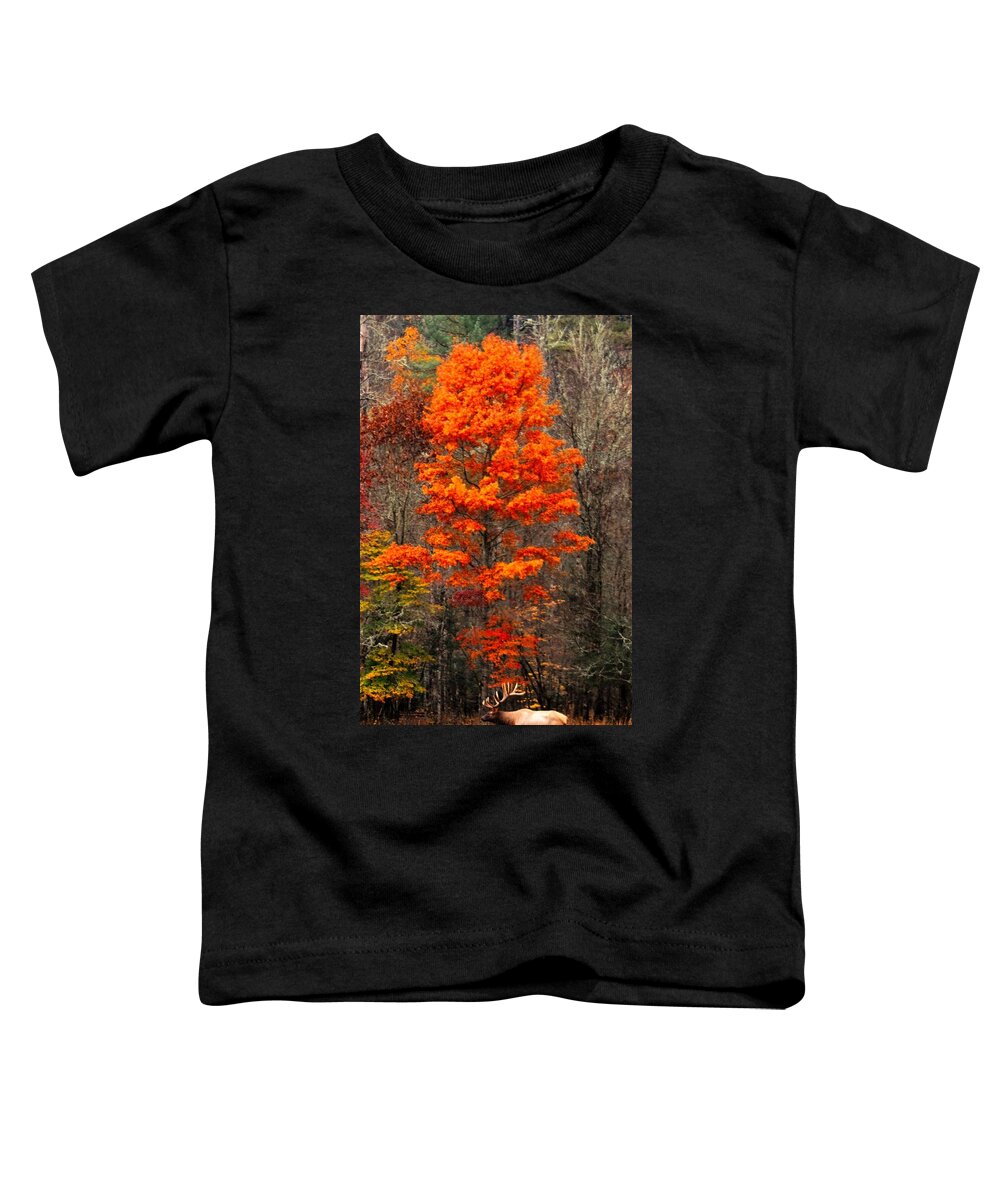  Toddler T-Shirt featuring the photograph Cataloochee Color by Chuck Brown