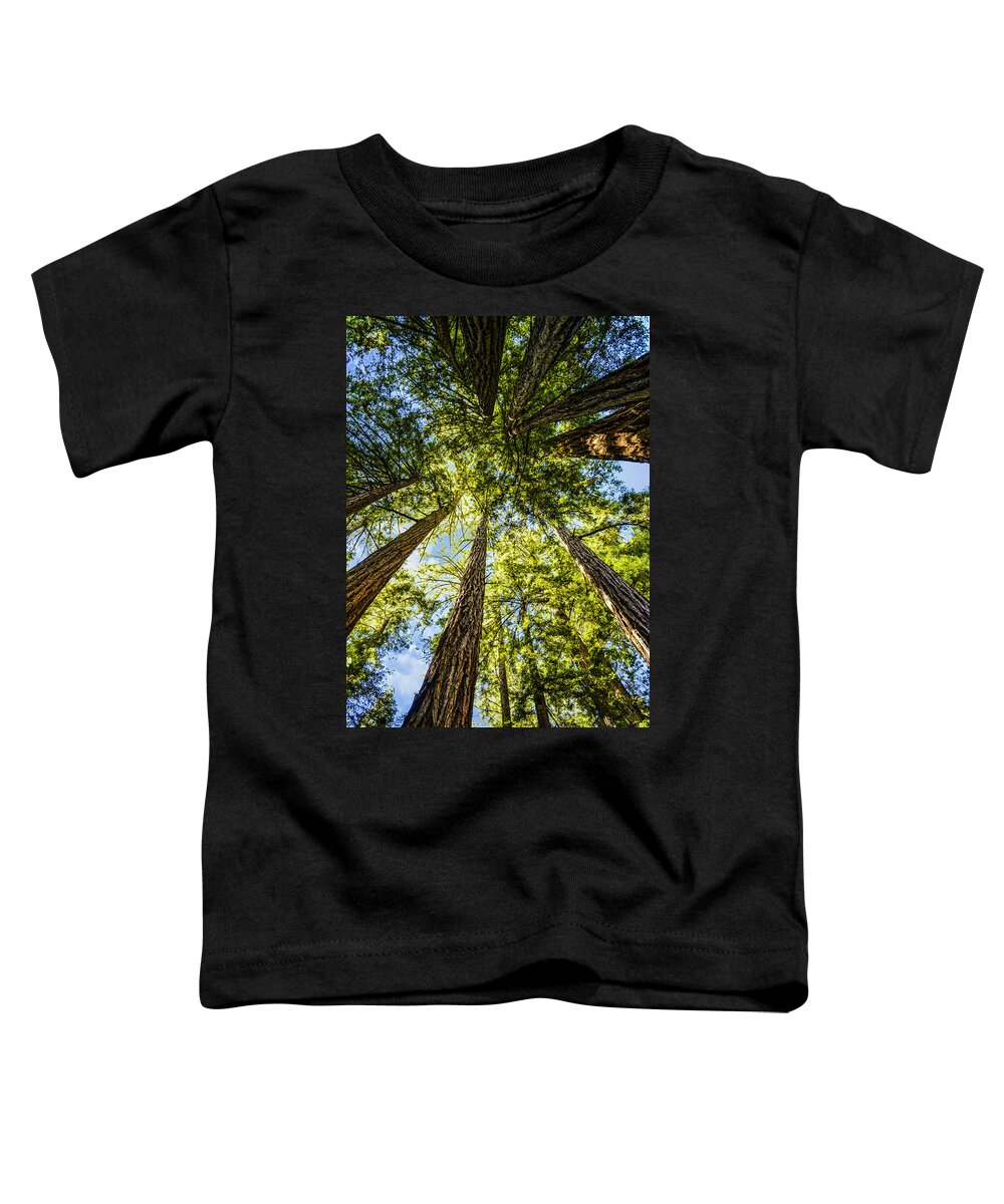 Nature Toddler T-Shirt featuring the photograph Cathedral Grove at Muir Woods by Brian Tada
