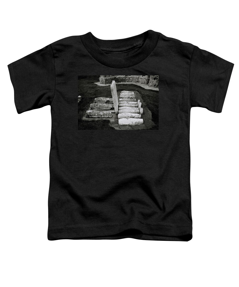 Charles Dickens Toddler T-Shirt featuring the photograph Charles Dickens Great Expectations by Shaun Higson