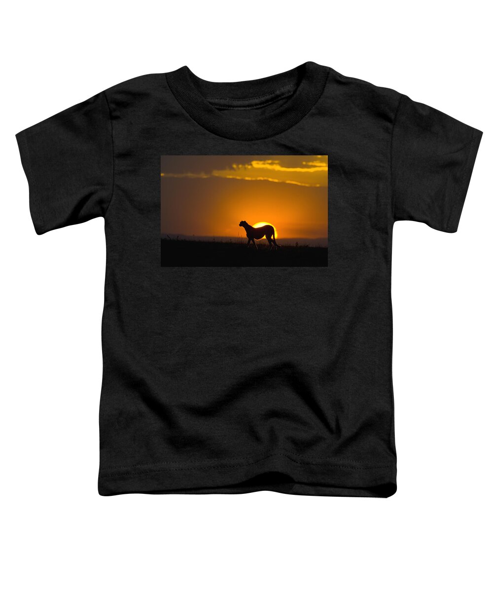 00761510 Toddler T-Shirt featuring the photograph Cheetah Acinonyx Jubatus In Silhouette by Suzi Eszterhas