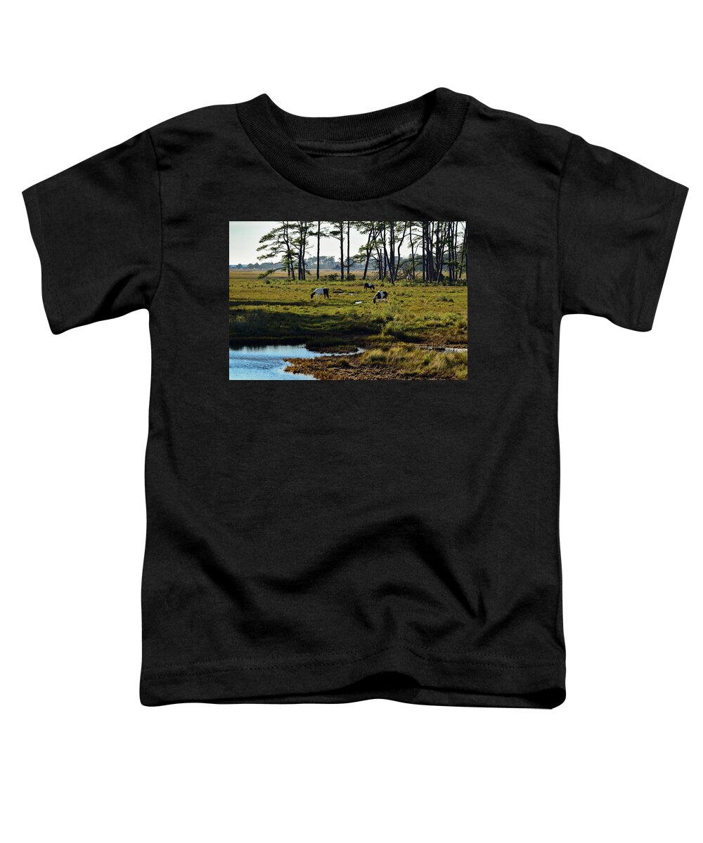 Chincoteague Toddler T-Shirt featuring the photograph Chincoteague Ponies by Nicole Lloyd
