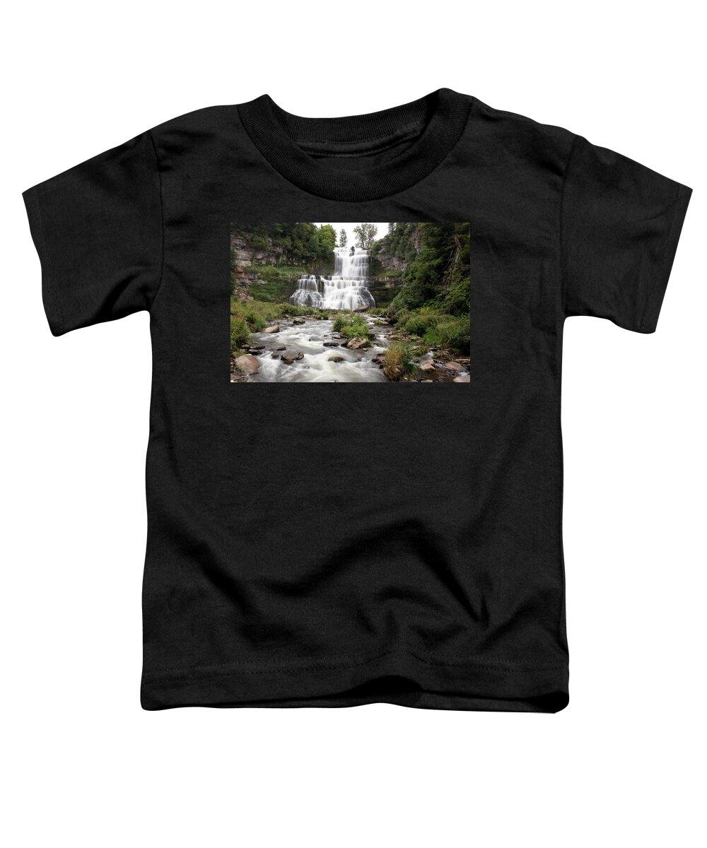 Chittenango Falls Toddler T-Shirt featuring the photograph Chittenango Falls by George Jones