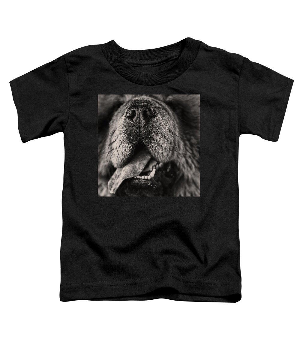 Animal Toddler T-Shirt featuring the photograph Chow Chow by Stelios Kleanthous