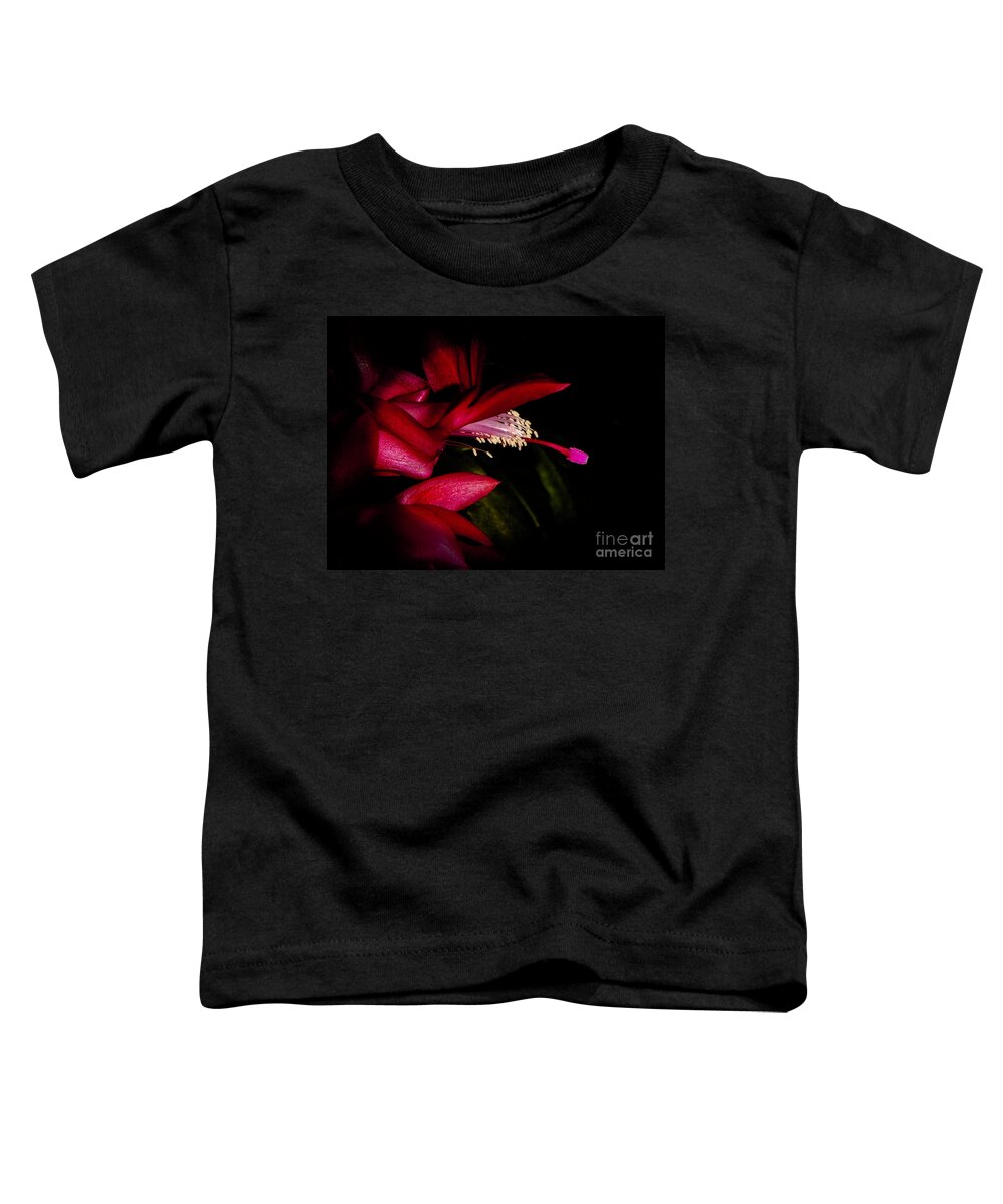 Christmas Toddler T-Shirt featuring the photograph Christmas Beauty by Judy Hall-Folde