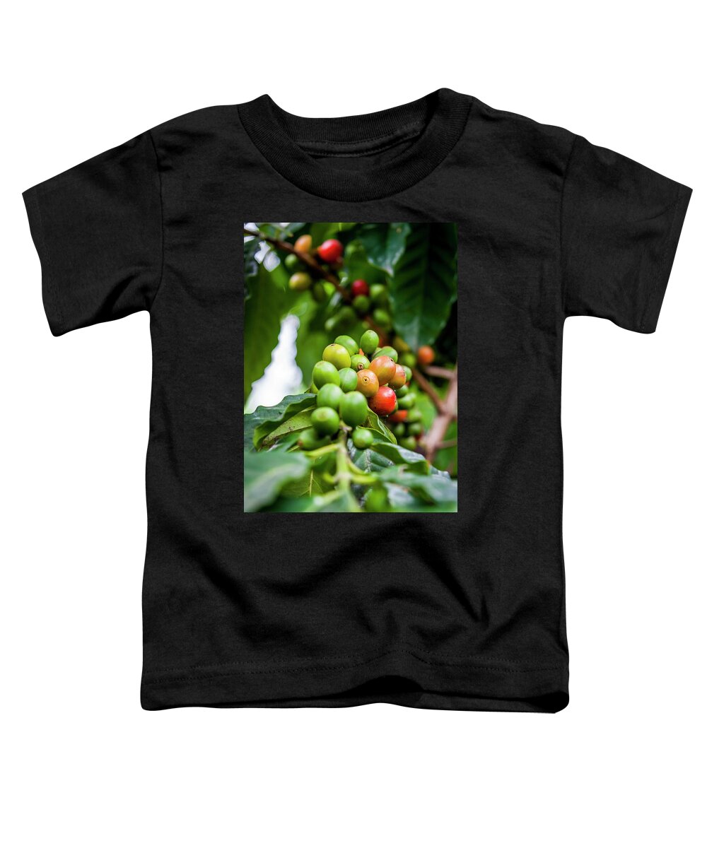 Ecuador Toddler T-Shirt featuring the photograph Coffee Plant by Daniel Murphy