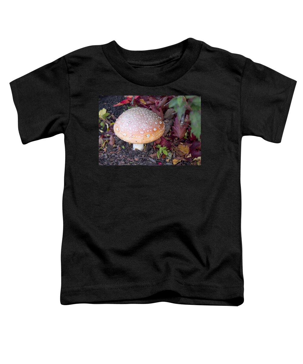 Color Toddler T-Shirt featuring the photograph Colorfull Mushroom by Tom Handley