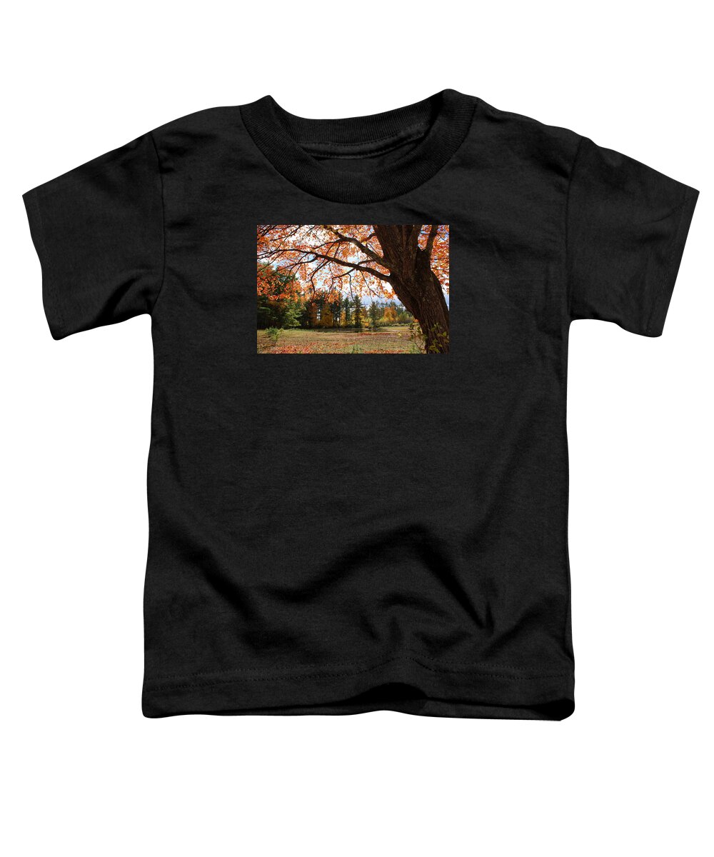 Fall Toddler T-Shirt featuring the photograph Colors of Fall by Lois Lepisto