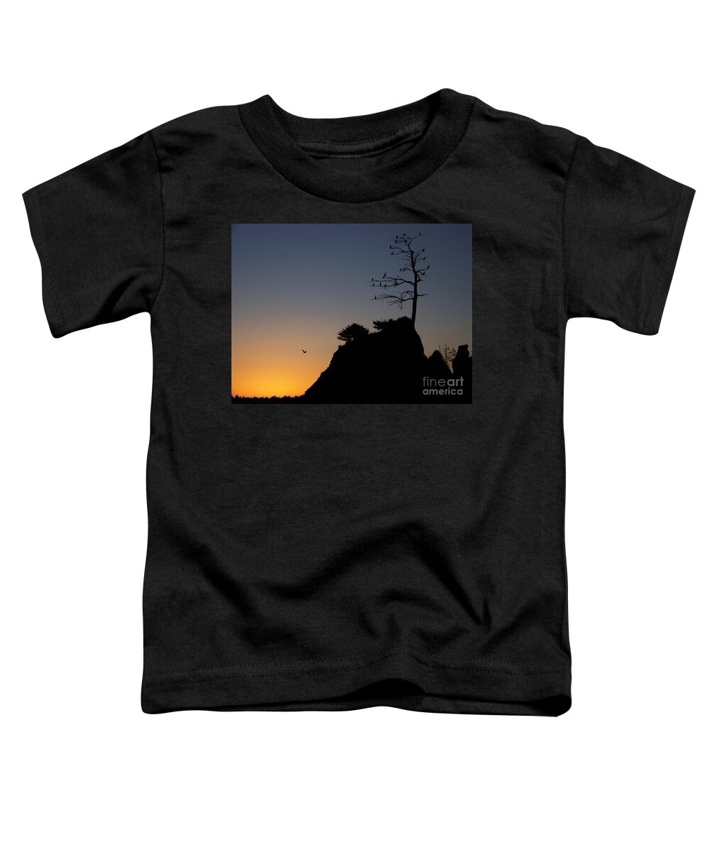 Rock Formation Toddler T-Shirt featuring the photograph Cormorant Tree by Julie Rauscher