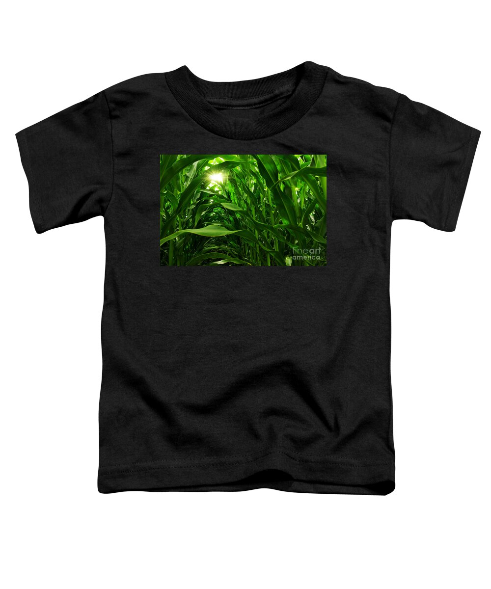 Agriculture Toddler T-Shirt featuring the photograph Corn Field by Carlos Caetano