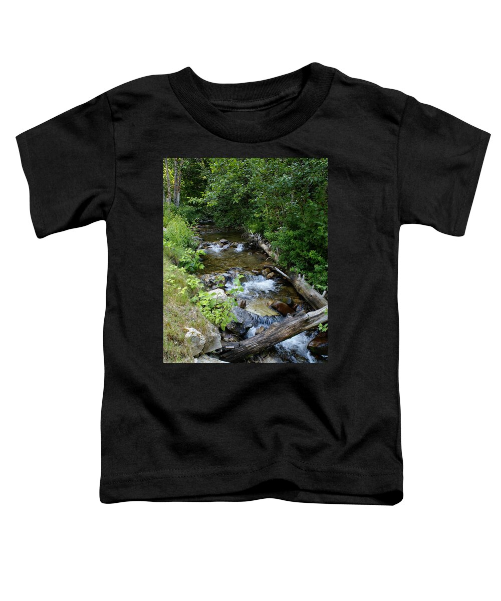Nature Toddler T-Shirt featuring the photograph Creek on Mt. Spokane 1 by Ben Upham III