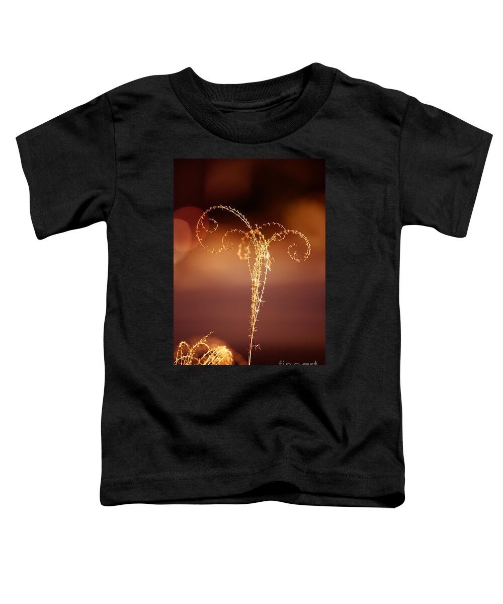 Grass Toddler T-Shirt featuring the photograph Crossed Curl by Kathy Strauss