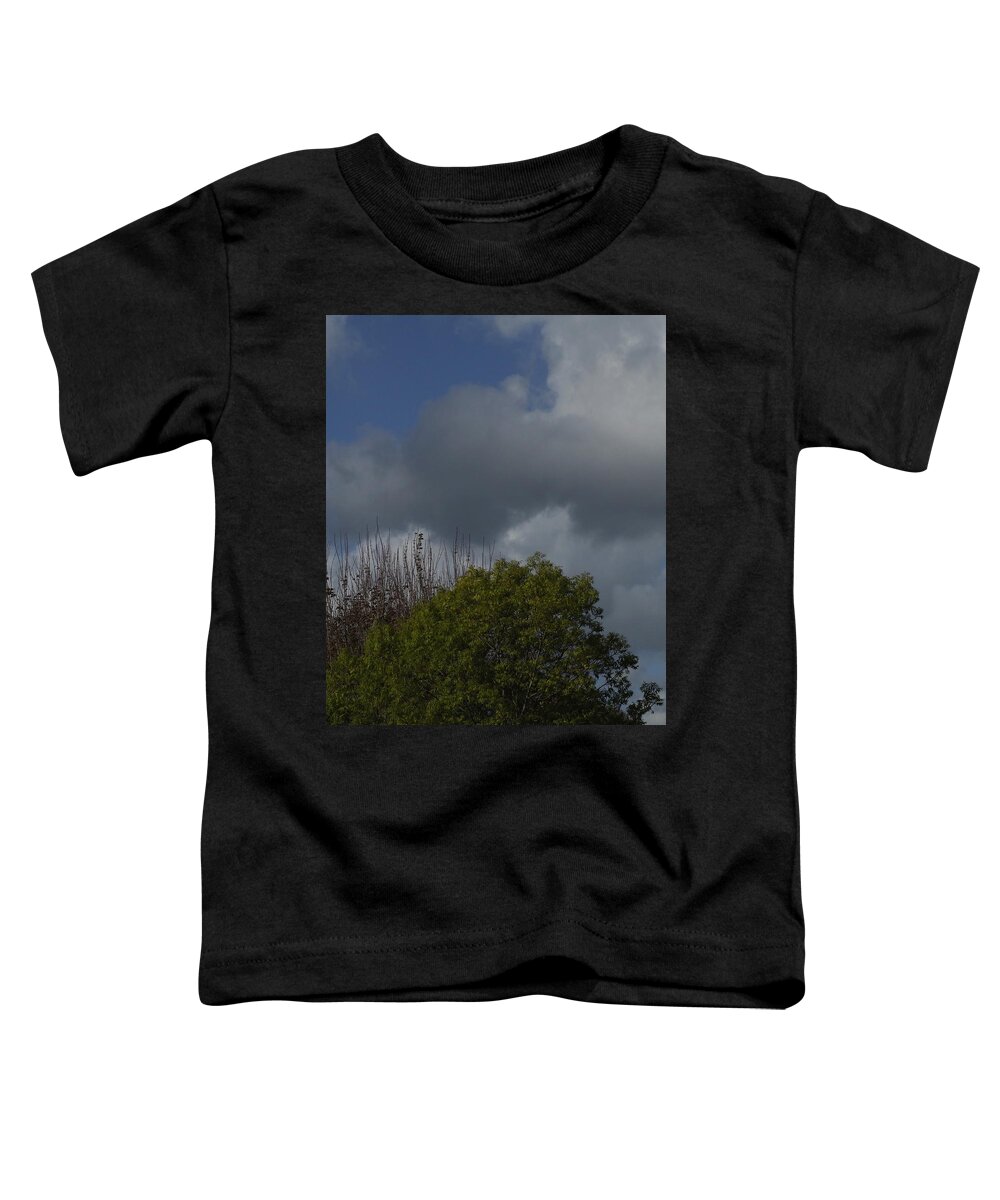  Toddler T-Shirt featuring the photograph Cumulus 14 and Trees by Richard Thomas