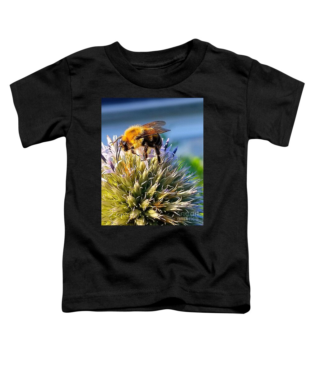 Sea Toddler T-Shirt featuring the photograph Curious Bee by Michael Graham