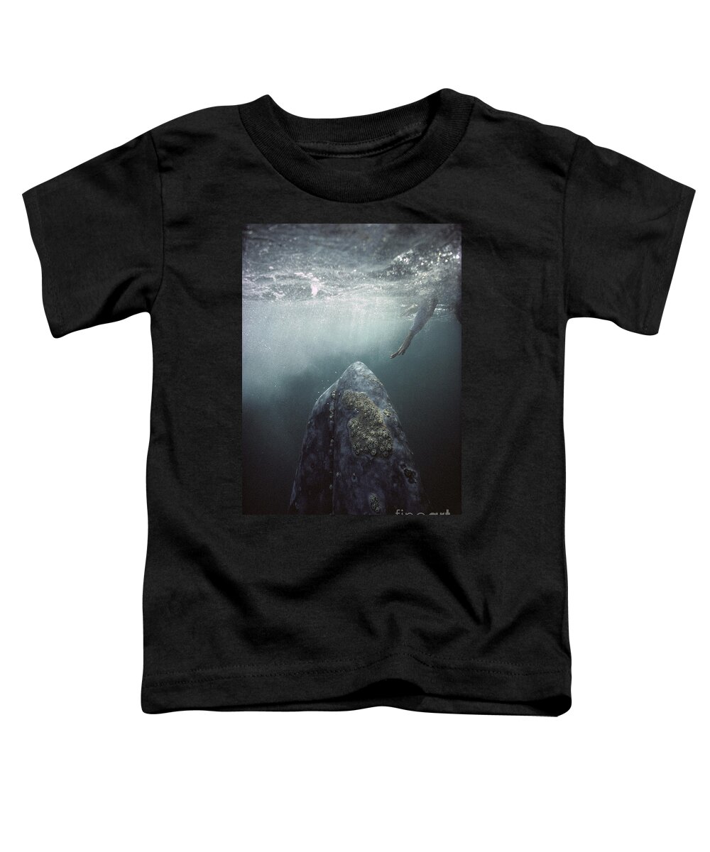 00143390 Toddler T-Shirt featuring the photograph Curious Gray Whale and Tourist by Tui De Roy