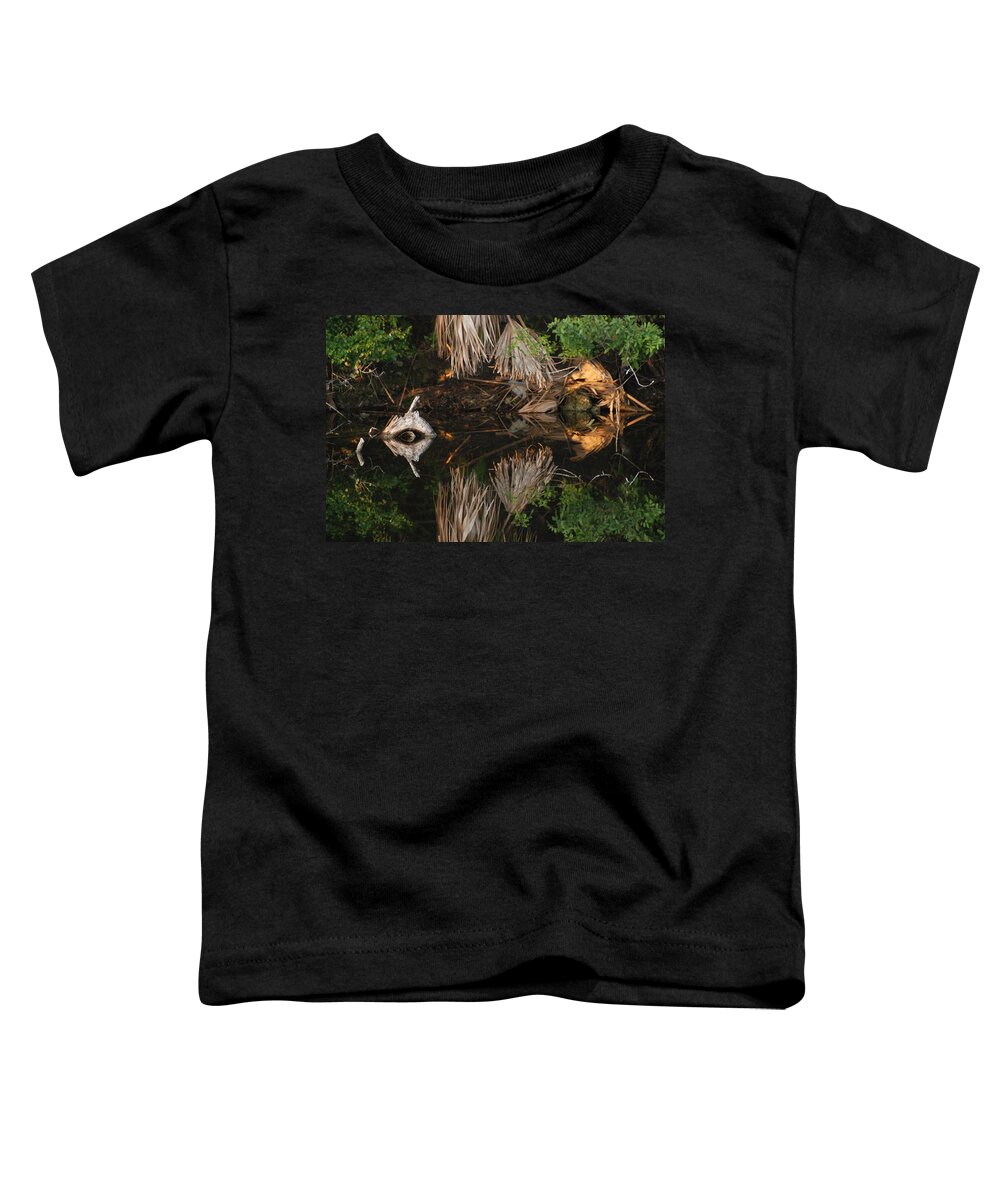 Sunset Toddler T-Shirt featuring the photograph Cyclops In Color by Rob Hans