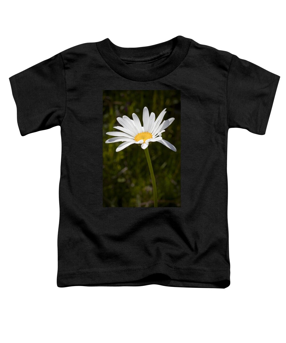 Daisy Toddler T-Shirt featuring the photograph Daisy 3 by Kelley King
