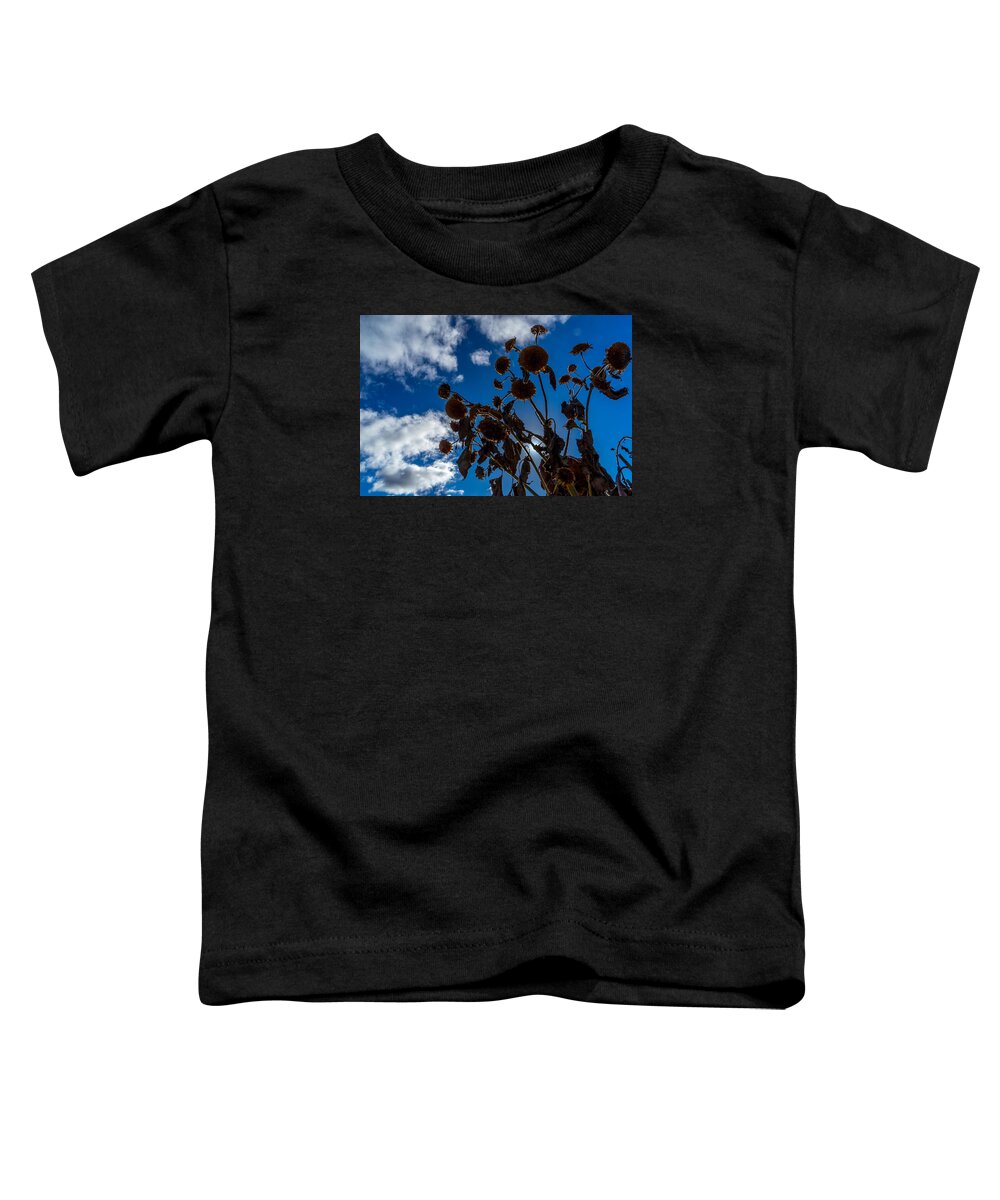 Sunset Toddler T-Shirt featuring the photograph Darkening Skies by Derek Dean