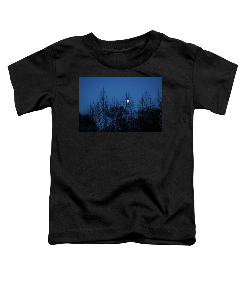 Moon Toddler T-Shirt featuring the photograph December Moon by Jeff Phillippi