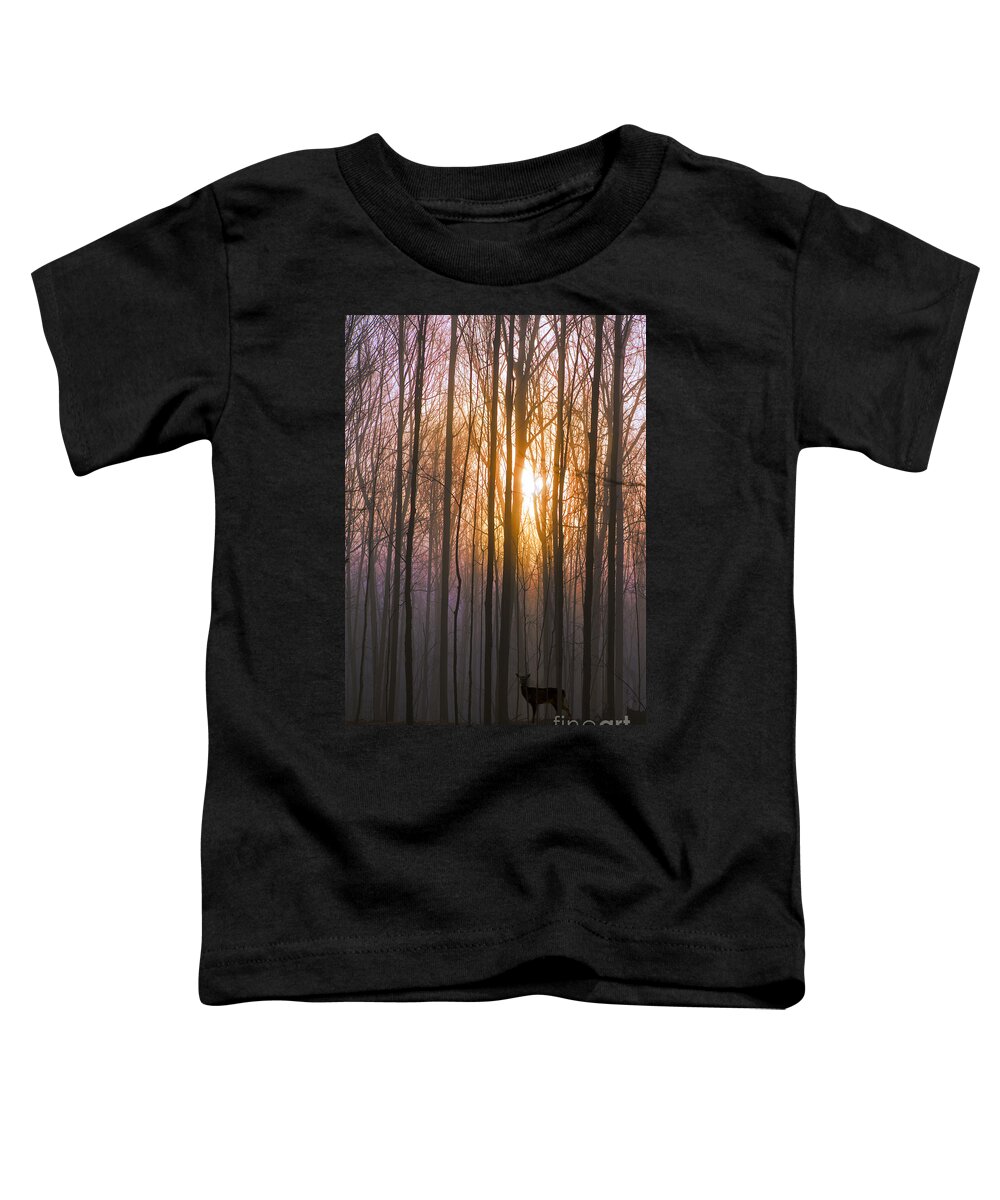 Deer Toddler T-Shirt featuring the photograph Deer in the Forest at Sunrise by Diane Diederich