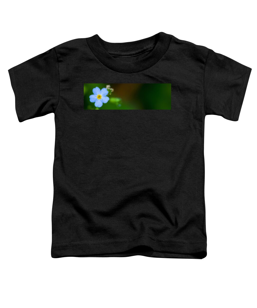 Fall Toddler T-Shirt featuring the photograph Dewy Blossom by David Heilman
