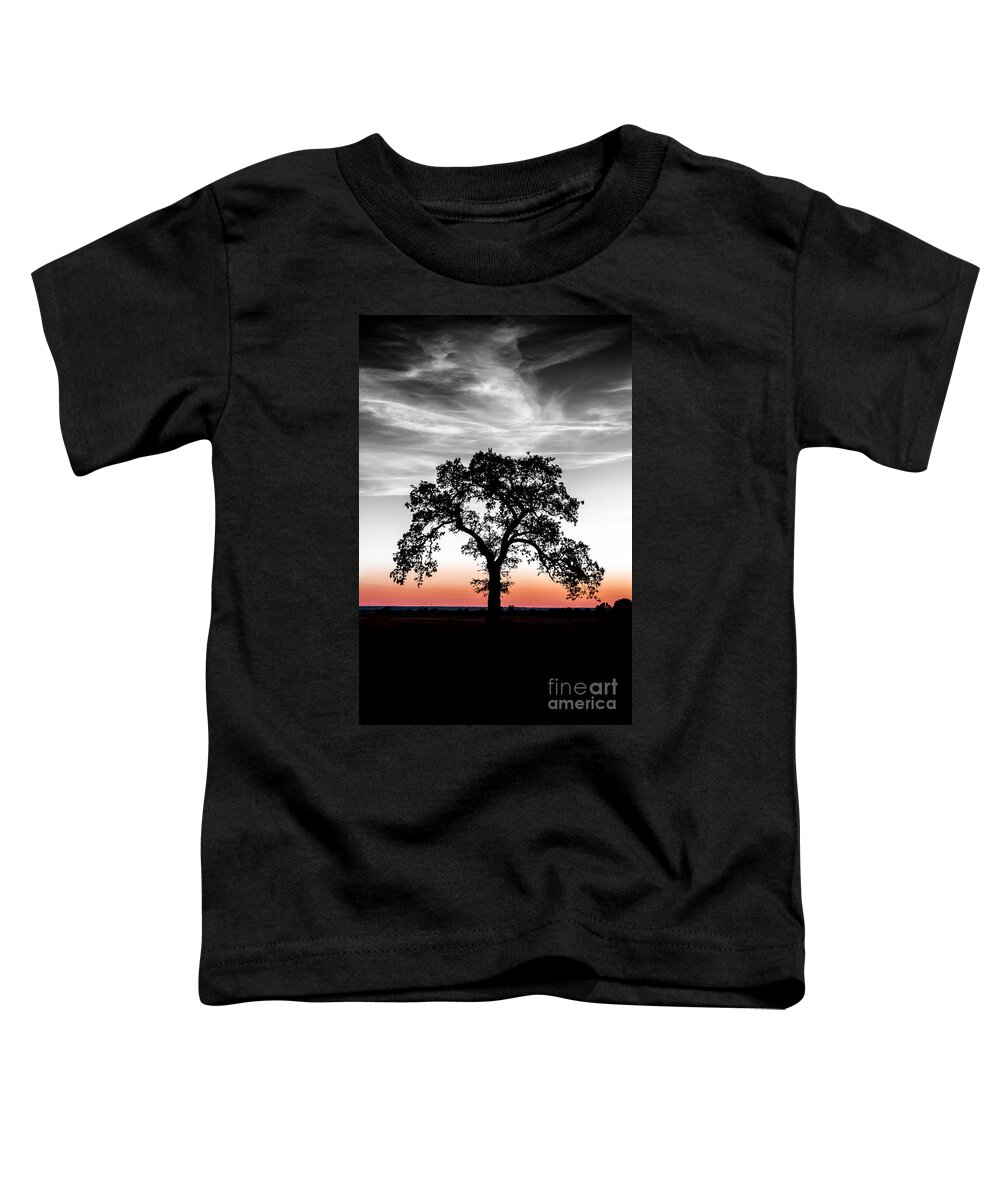 Landscape Toddler T-Shirt featuring the photograph Distinctly by Betty LaRue