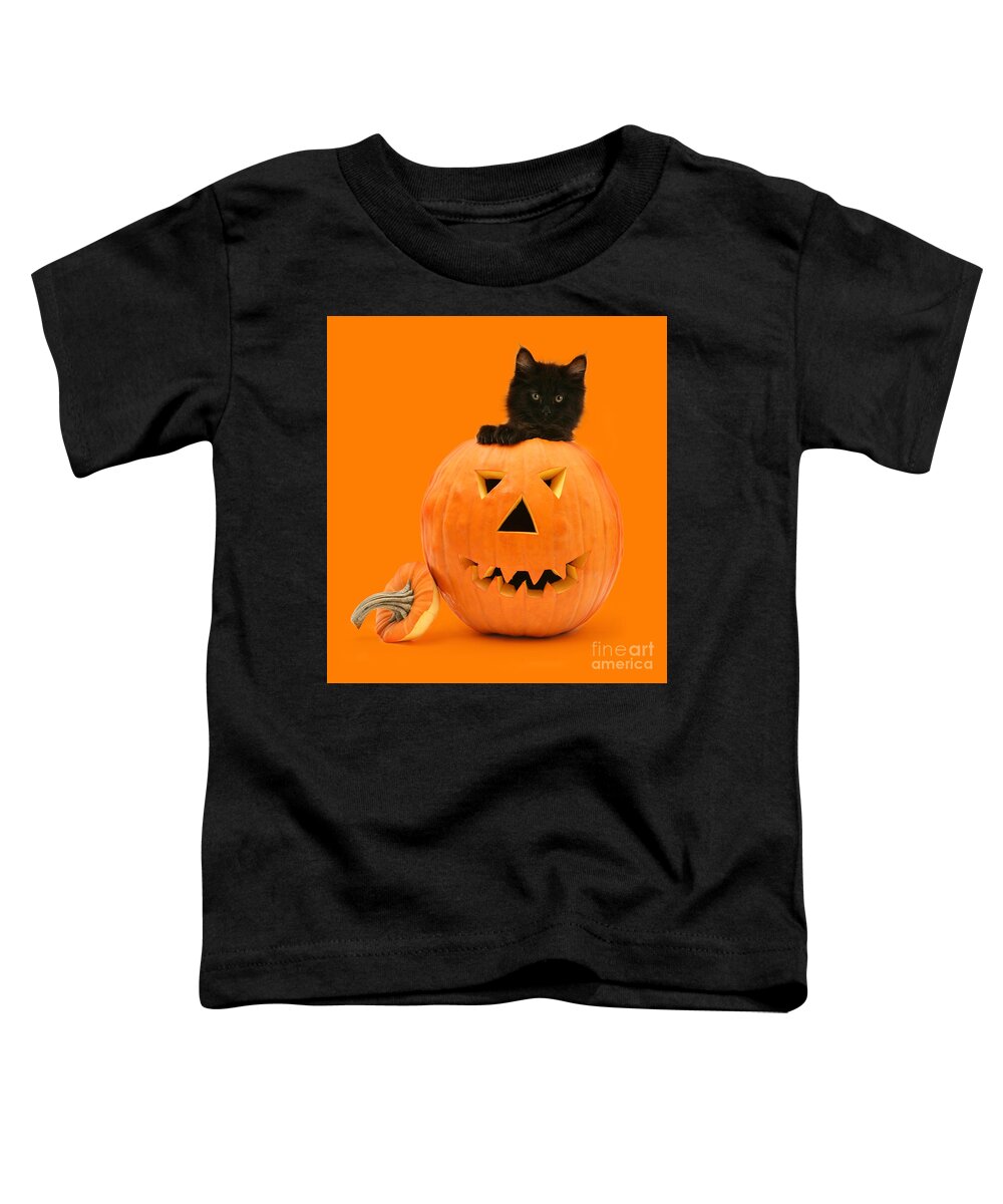 Maine Coon Toddler T-Shirt featuring the photograph Eaten by a Giant Pumpkin by Warren Photographic