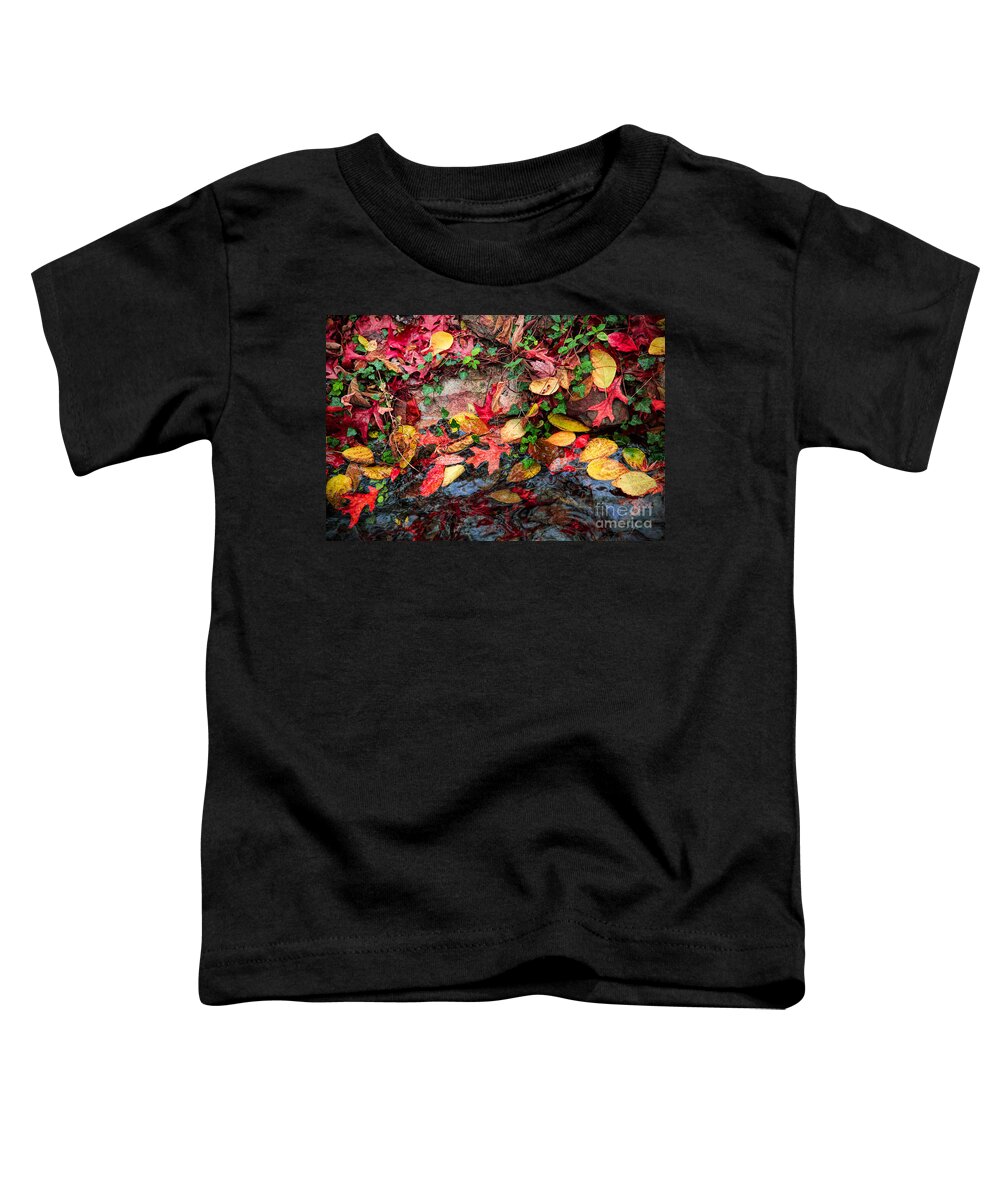 Fall Toddler T-Shirt featuring the photograph Fallen Leaves by Lynn Sprowl