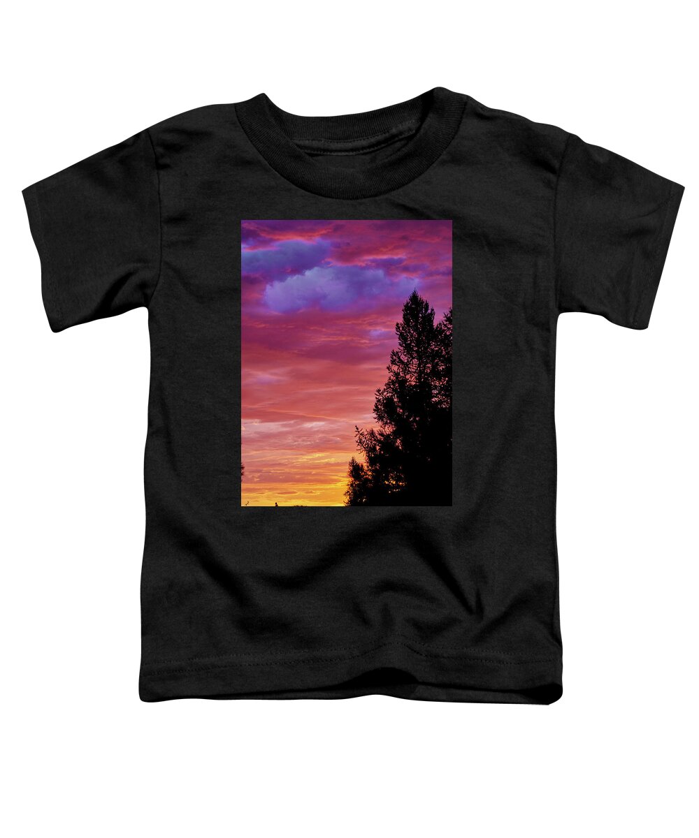 Sunrise Toddler T-Shirt featuring the photograph Exploding Color by Loni Collins