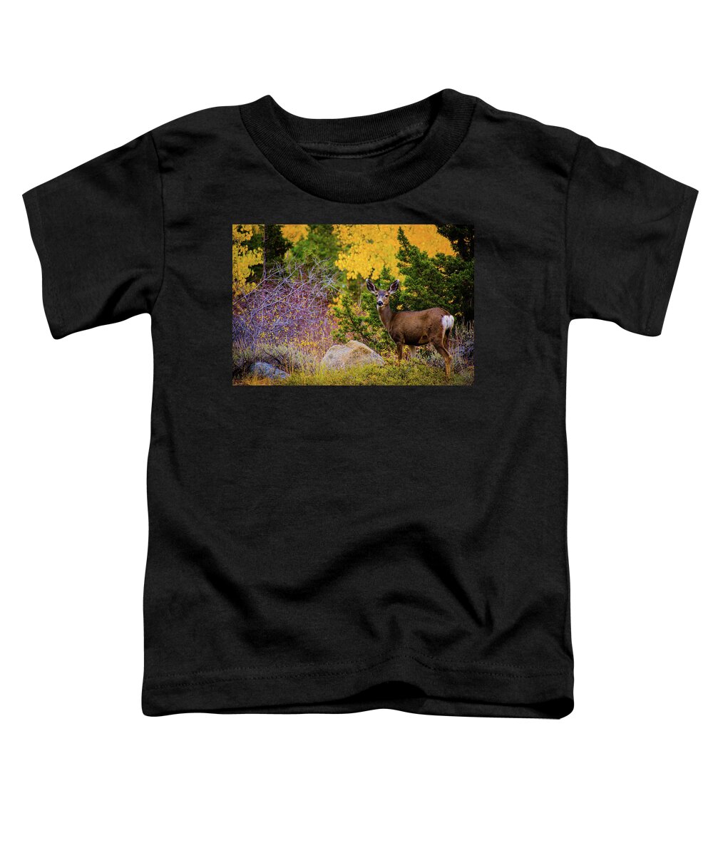 Deer Toddler T-Shirt featuring the photograph Fall Deer by Steph Gabler
