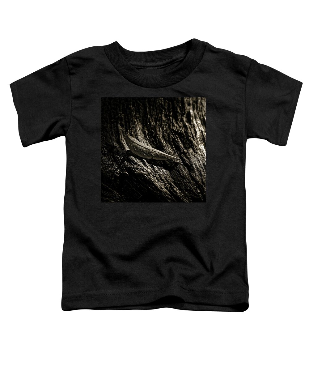 Nature Toddler T-Shirt featuring the photograph First and Last by Bob Orsillo