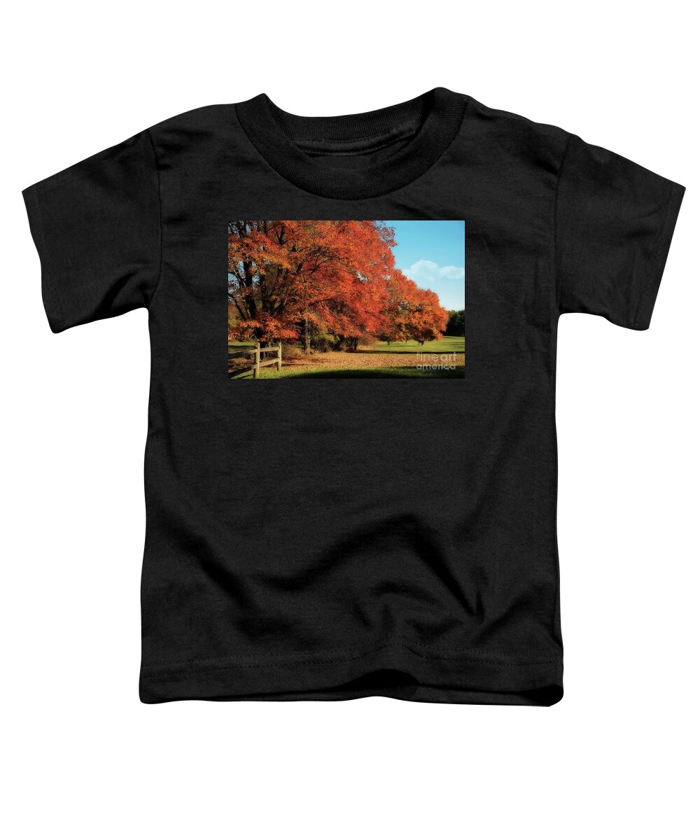 Autumn Toddler T-Shirt featuring the photograph Flame Trees by Lois Bryan