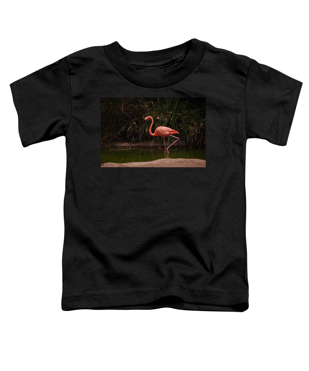 Flamingo Toddler T-Shirt featuring the photograph Flamingo 1 San Diego Zoo by Phyllis Spoor