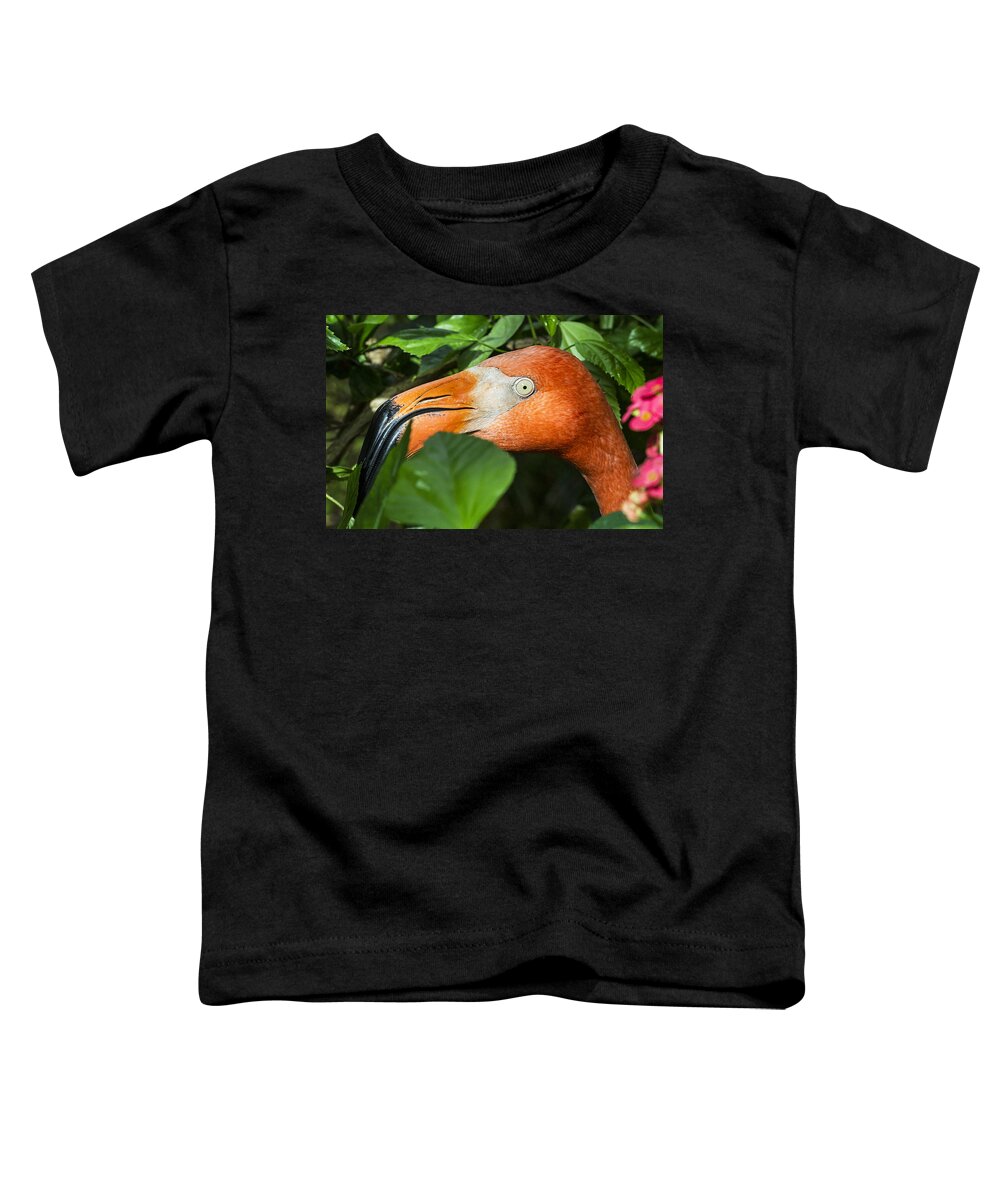 Bird Toddler T-Shirt featuring the photograph Flamingo Peeking Through the Bushes by Bob Slitzan