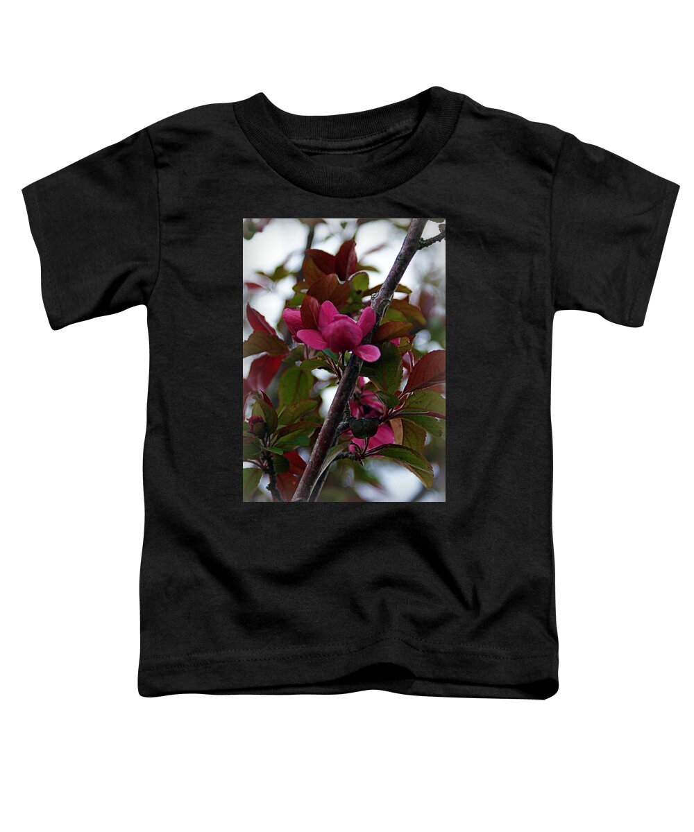 Flowers Toddler T-Shirt featuring the photograph Flowering Crabapple by Cricket Hackmann