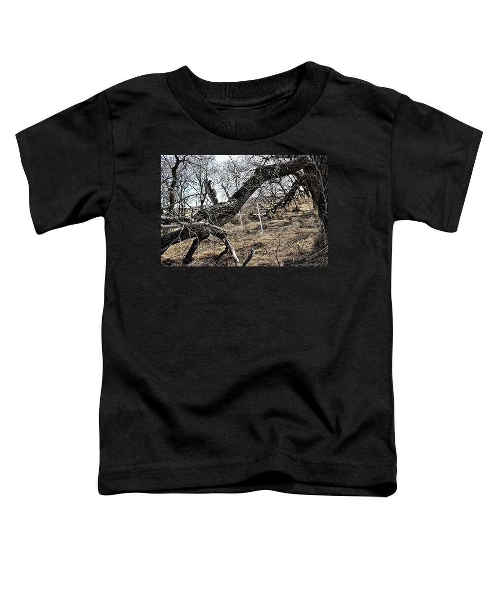 Haunted Toddler T-Shirt featuring the photograph Fone Hill Cemetery by Ryan Crouse