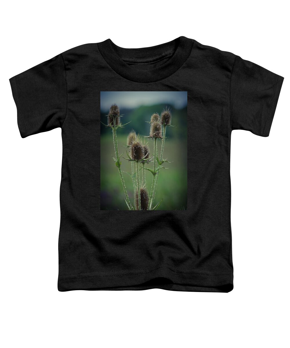 Winterpacht Toddler T-Shirt featuring the photograph Forest Way by Miguel Winterpacht