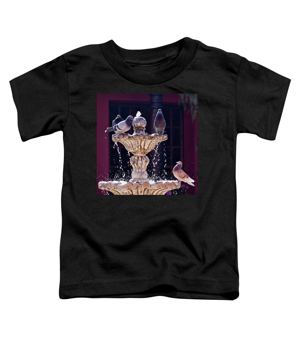 Water Fountain Toddler T-Shirt featuring the photograph At the fountain by Tatiana Travelways