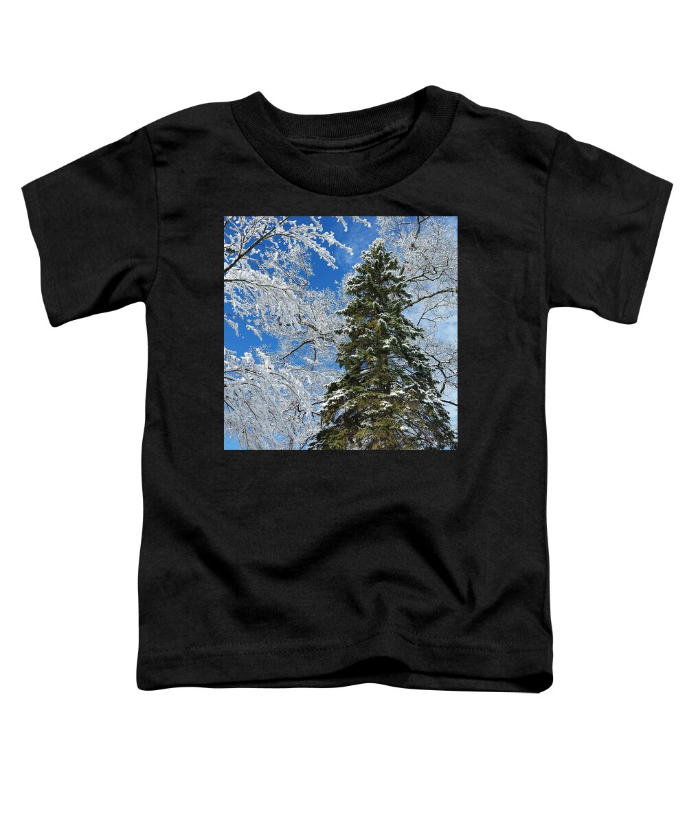 Winter Toddler T-Shirt featuring the photograph Frozen Evergreen by Vic Ritchey