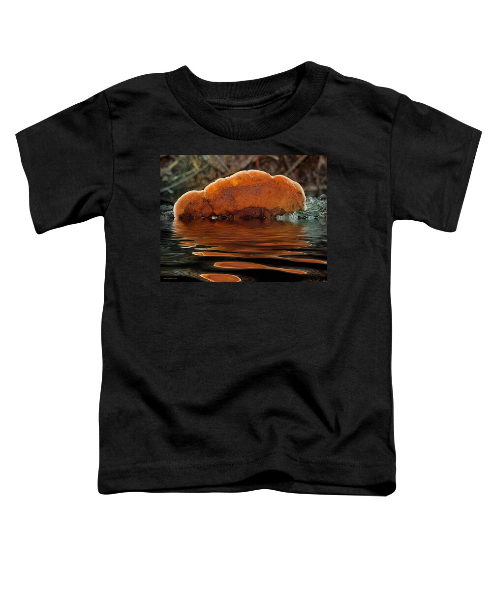 Fungus Toddler T-Shirt featuring the photograph Fungiflection by WB Johnston