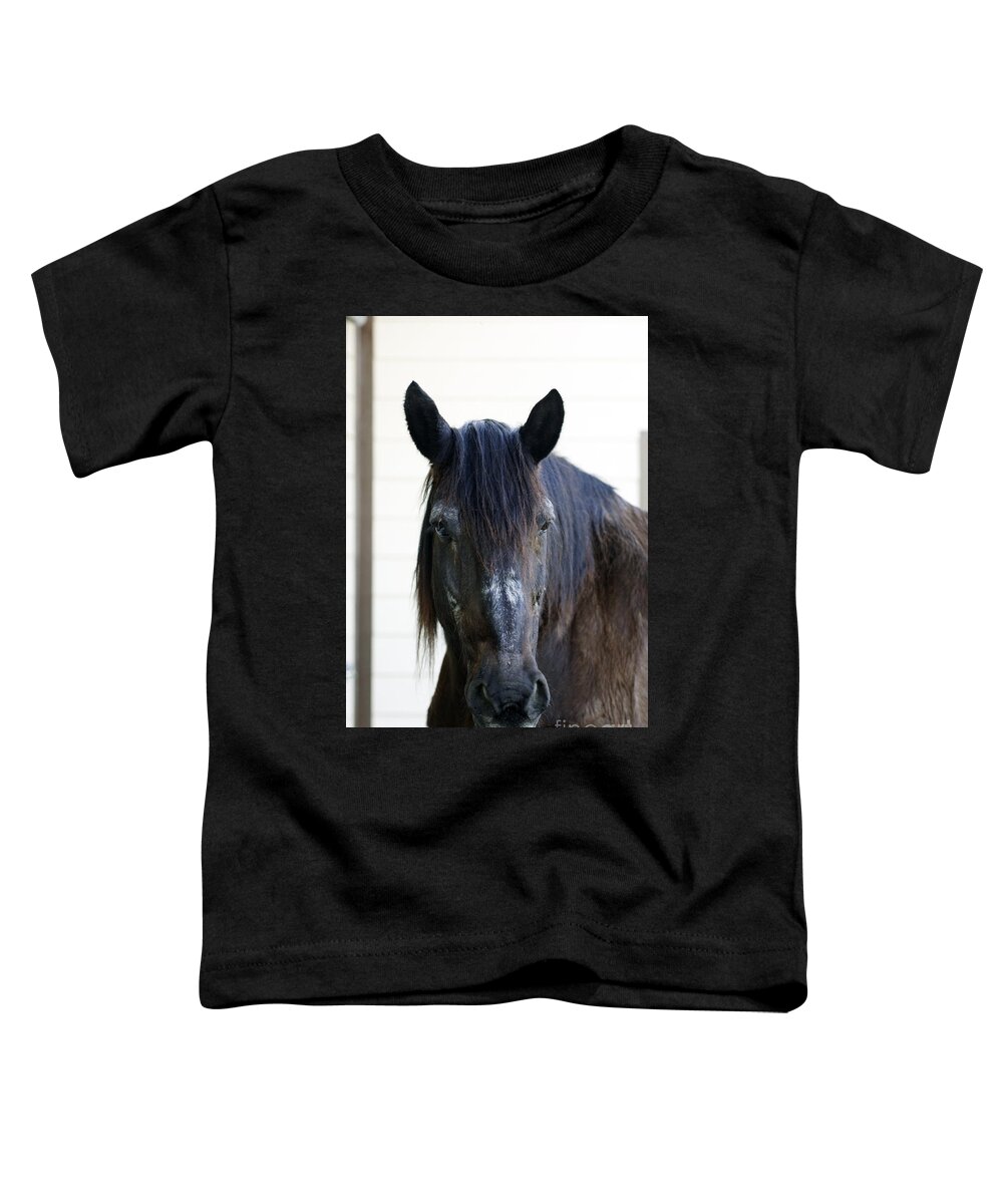 Beauty's Haven Toddler T-Shirt featuring the photograph Gentleman by Carien Schippers