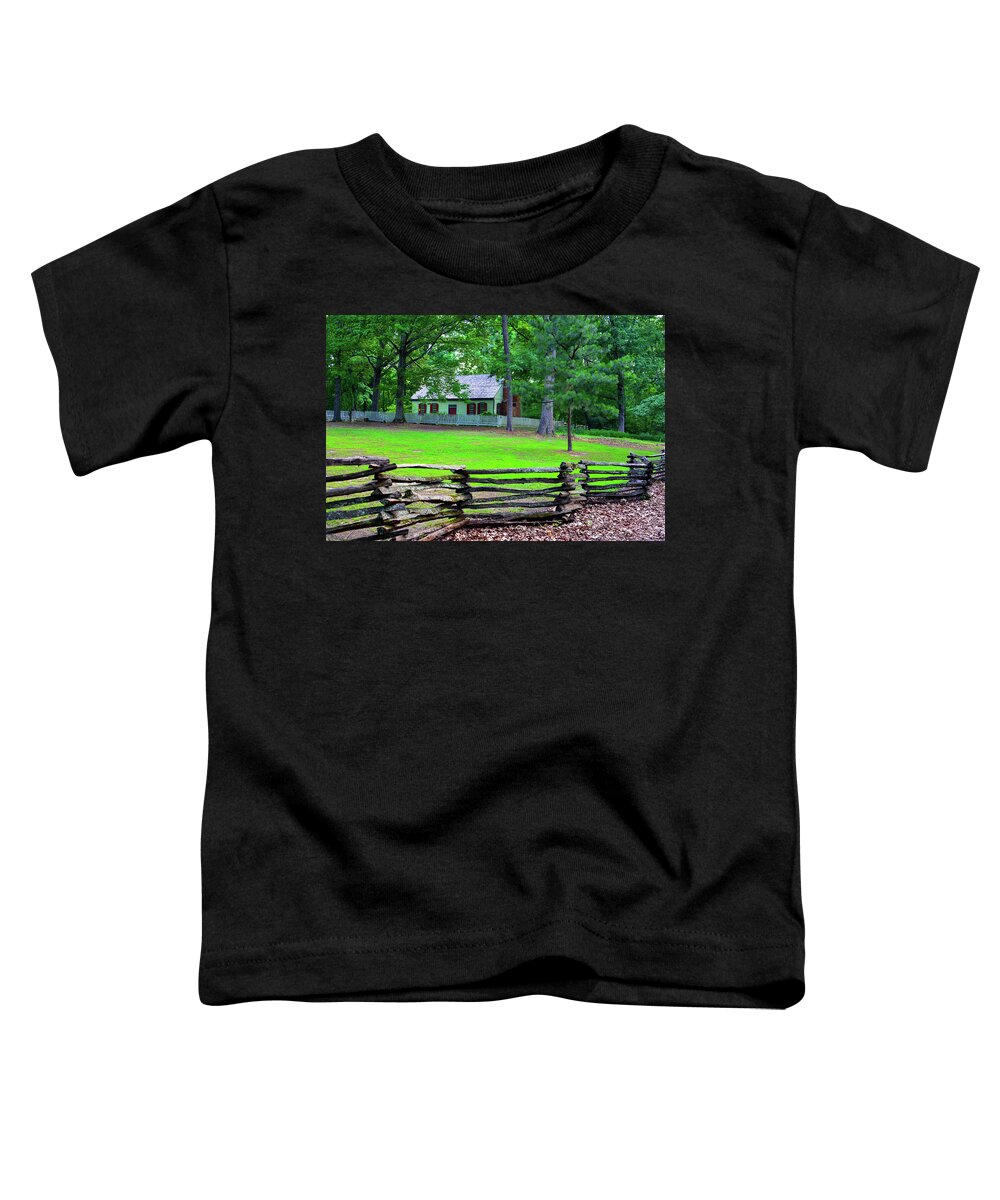 Georgia Home Toddler T-Shirt featuring the photograph Georgia home by David Lee Thompson