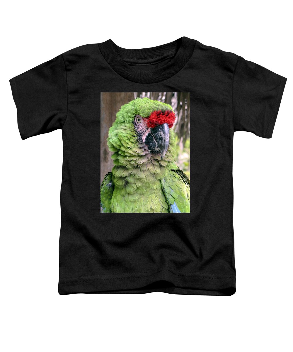 Portrait Toddler T-Shirt featuring the photograph George the Parrot by Bob Slitzan