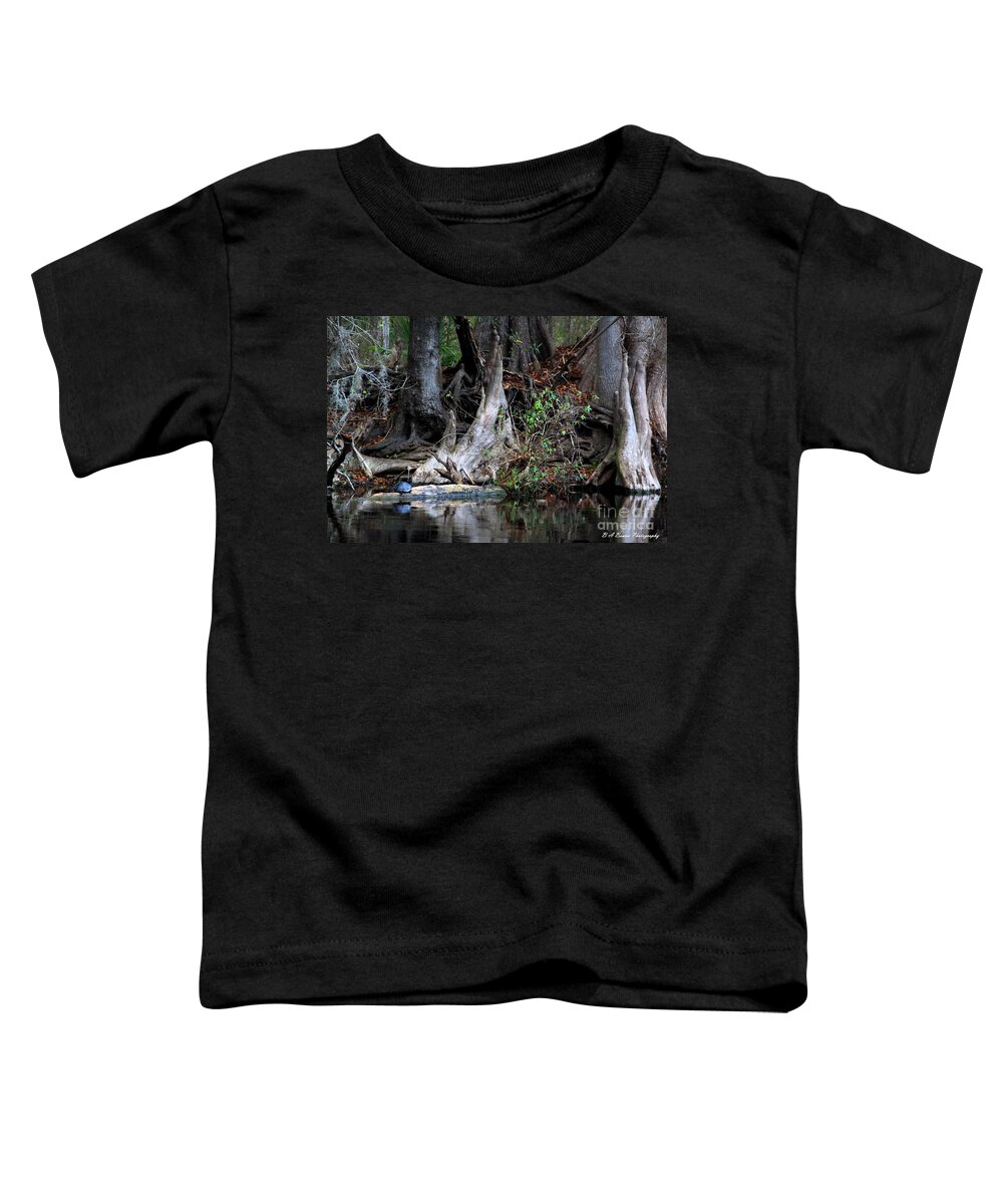 Cypress Knees Toddler T-Shirt featuring the photograph Giant Cypress Knees by Barbara Bowen