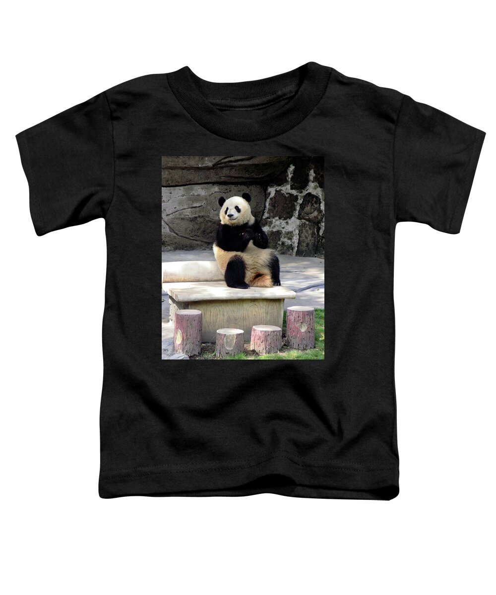 Giant Panda Sitting On Stone Bench Toddler T-Shirt featuring the photograph Giant Panda on Bench by Sally Weigand