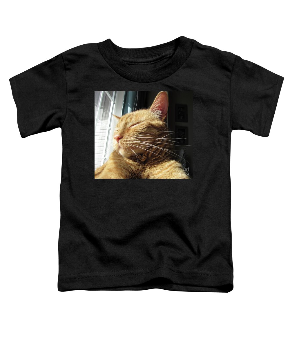 Ginger Tabby Toddler T-Shirt featuring the photograph Ginger Tabby by Donna L Munro