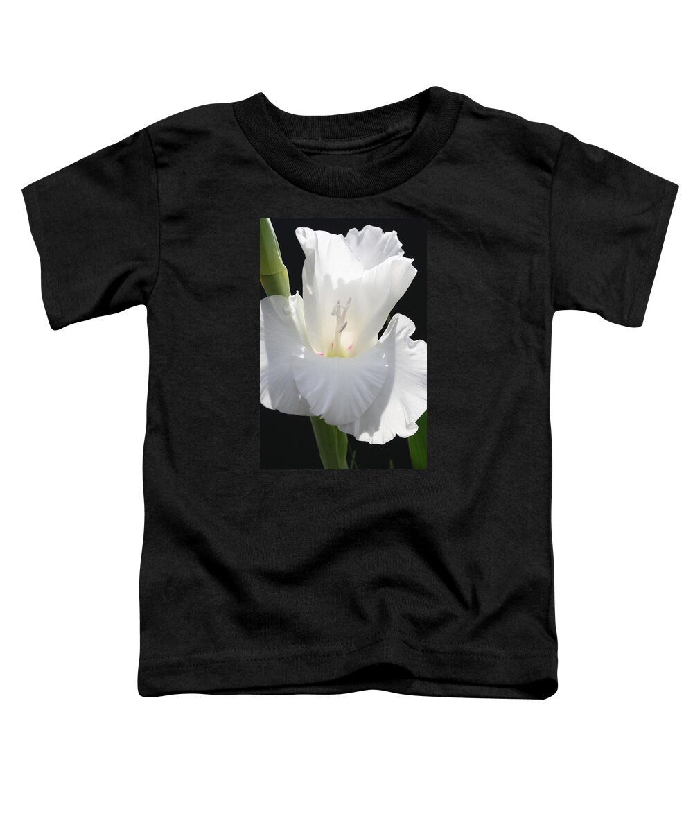 Gladiolus Toddler T-Shirt featuring the photograph Gladiolus Chef by Tammy Pool