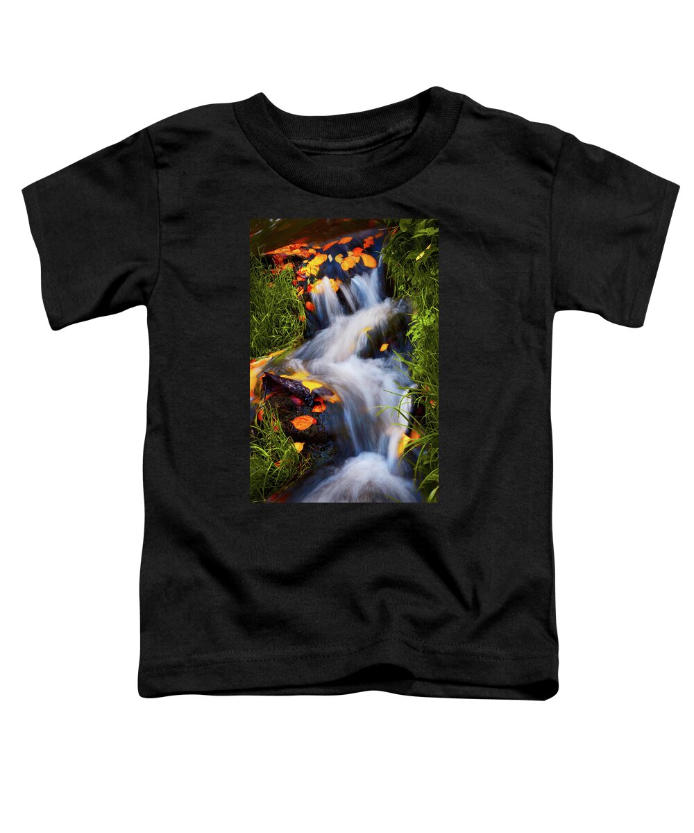 Jenny Rainbow Fine Art Photography Toddler T-Shirt featuring the photograph Golden Glimpses of Autumn. Production by Nature by Jenny Rainbow