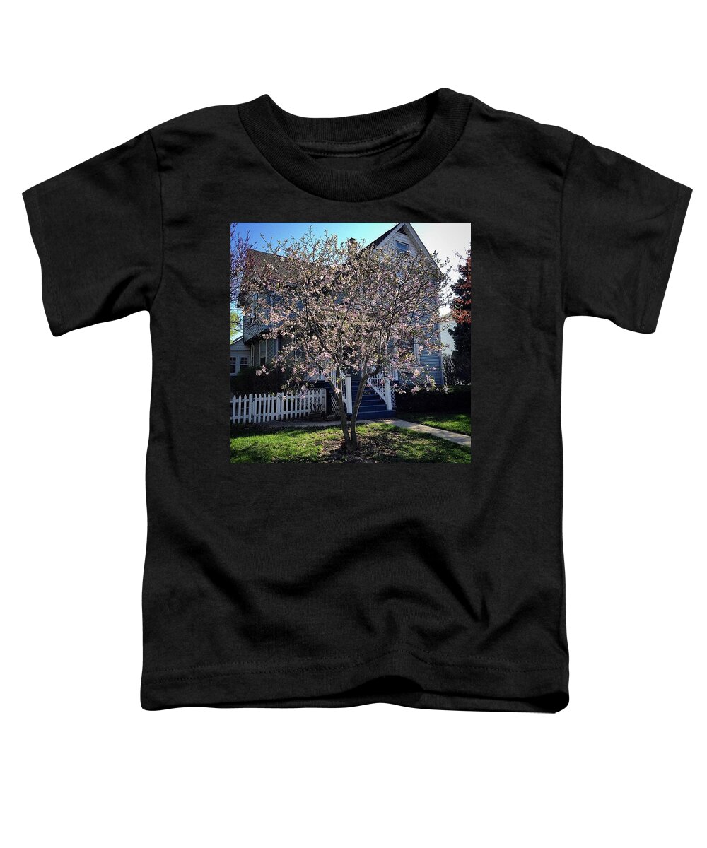 Pink Toddler T-Shirt featuring the photograph Golden Hour Magnolia  by Frank J Casella