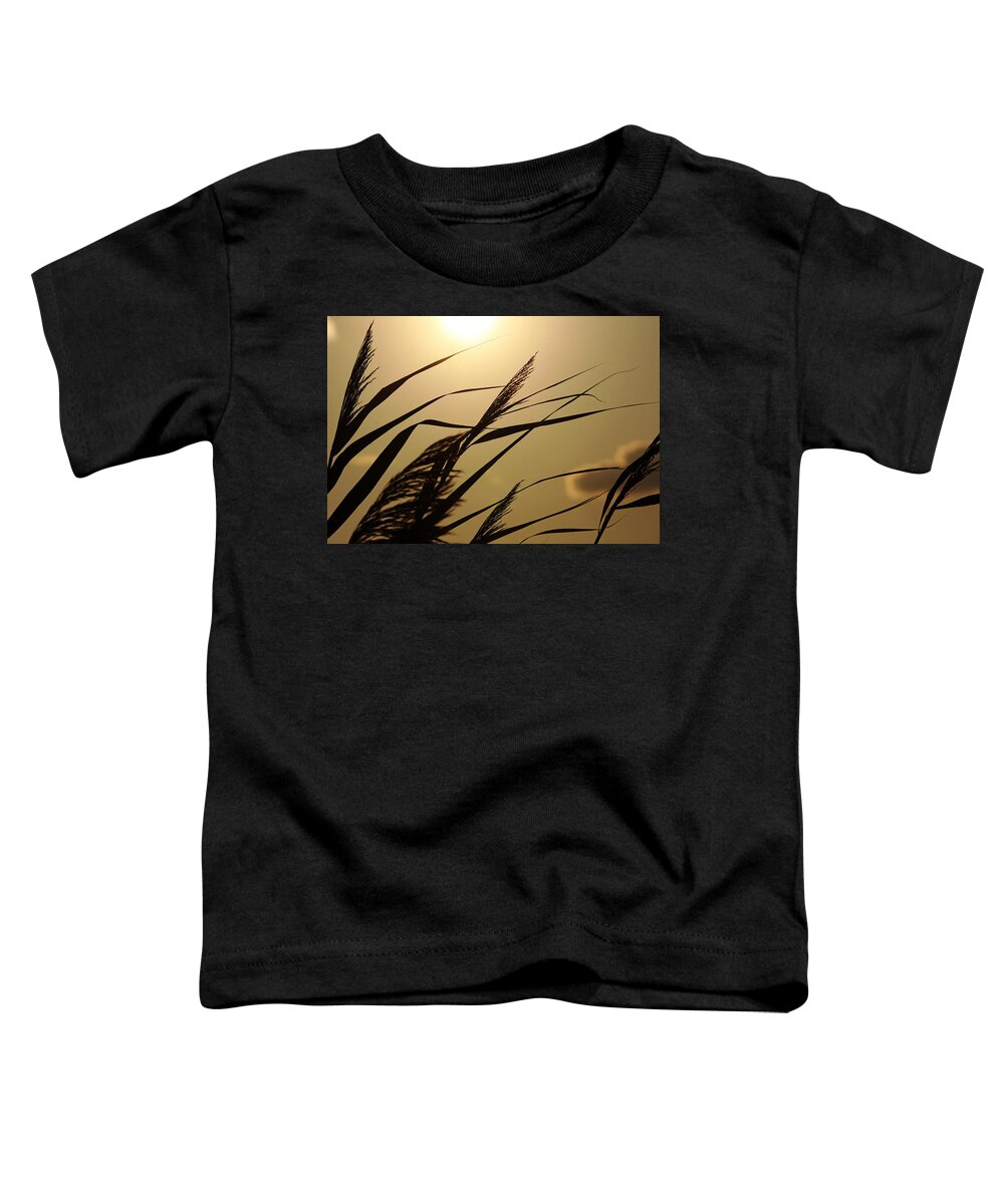 Sunset Toddler T-Shirt featuring the photograph Grass In Silhouette by Debbie Oppermann